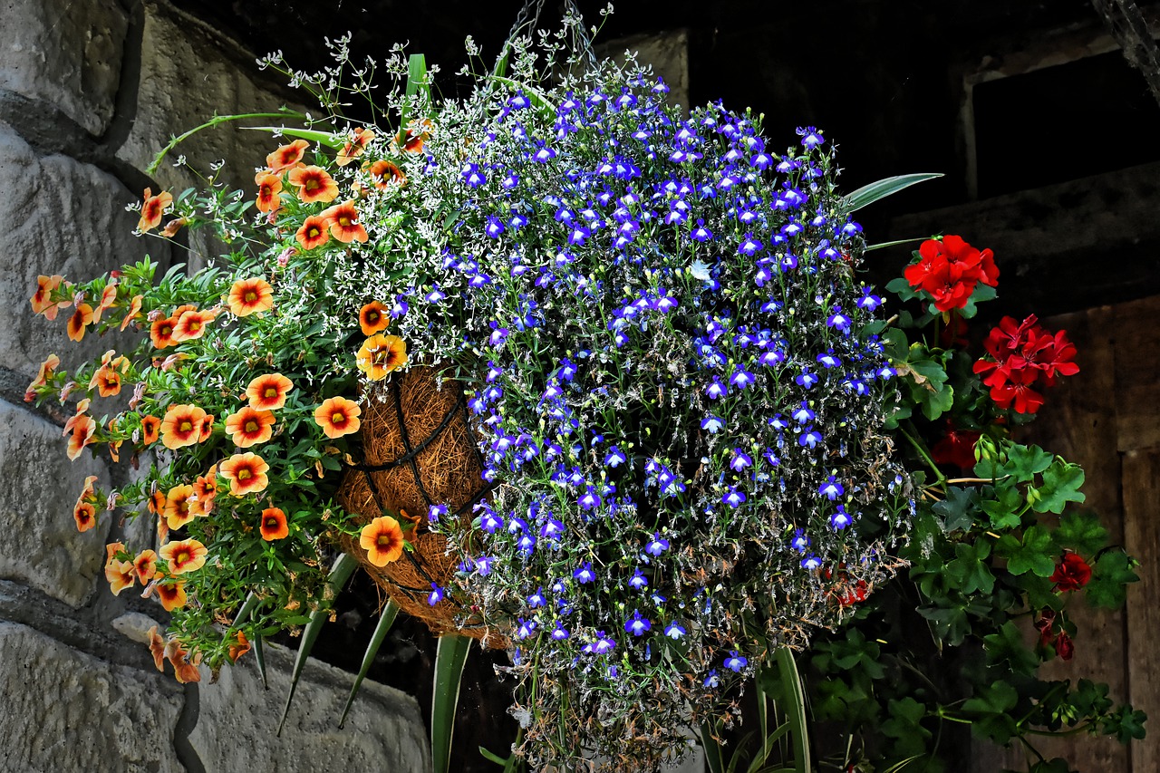 colourful hanging flower basket